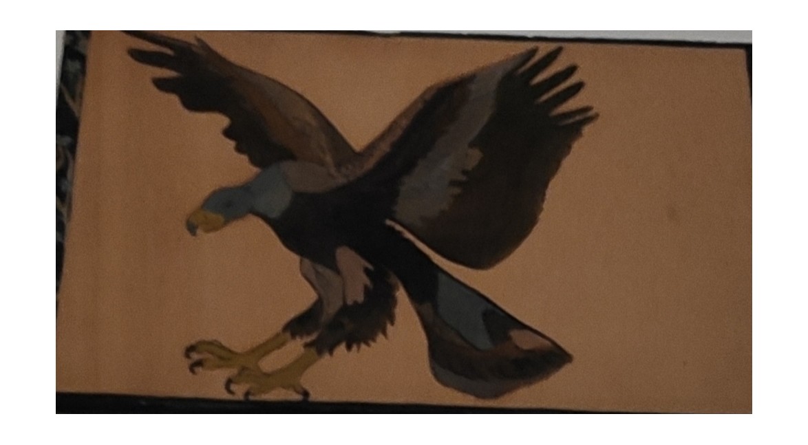 Aigle